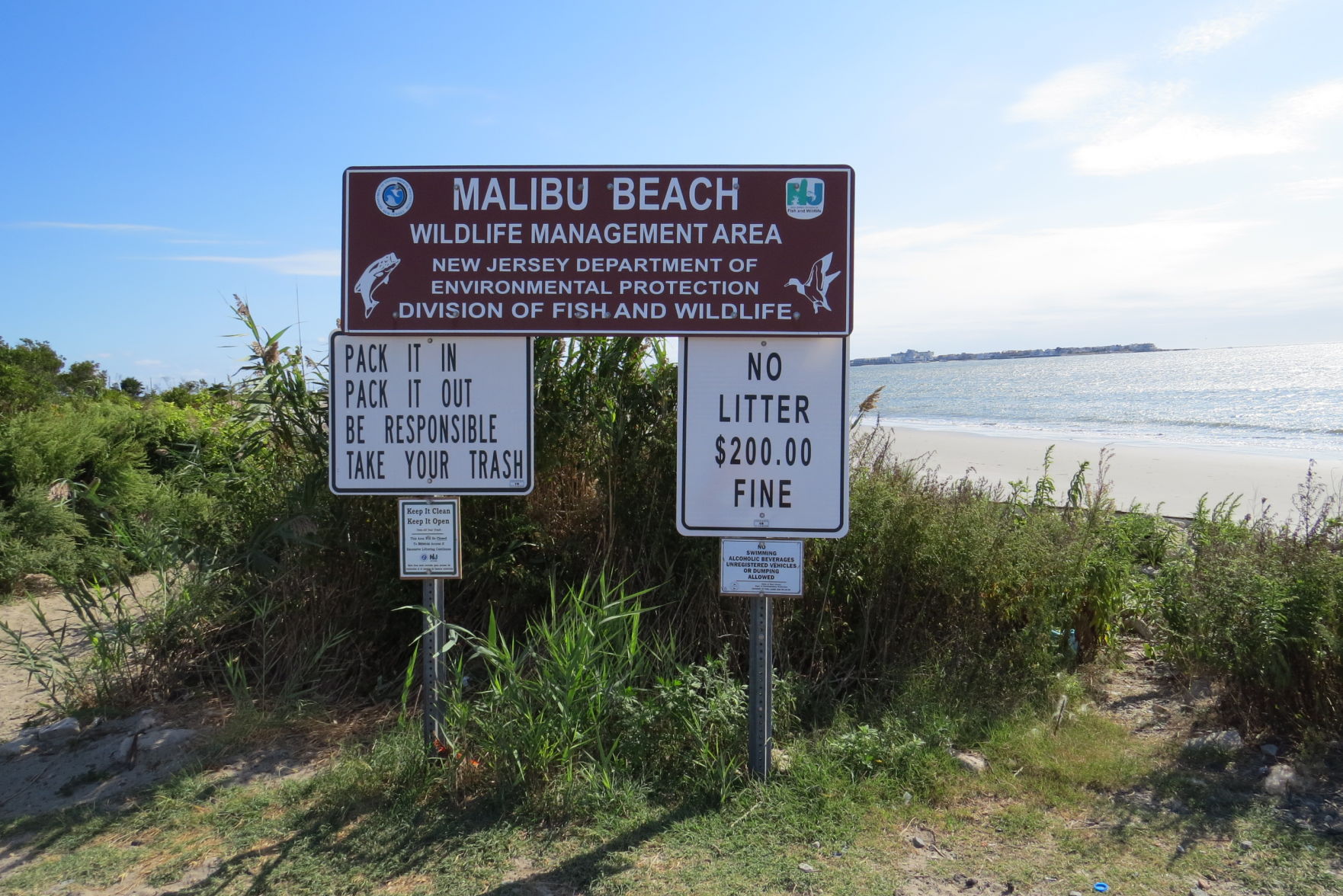 100816_urg_cdb_dogbeach (1).JPG